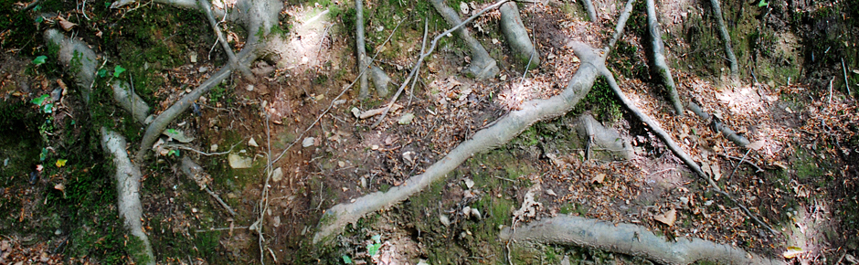 The Cornwall Workshop - contact