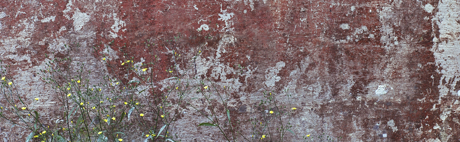 The Cornwall Workshop - sign_up